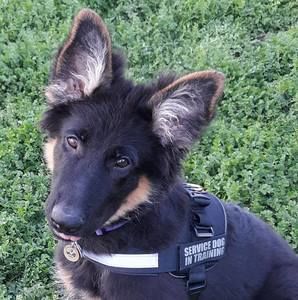 Meet your Posher, Kelly